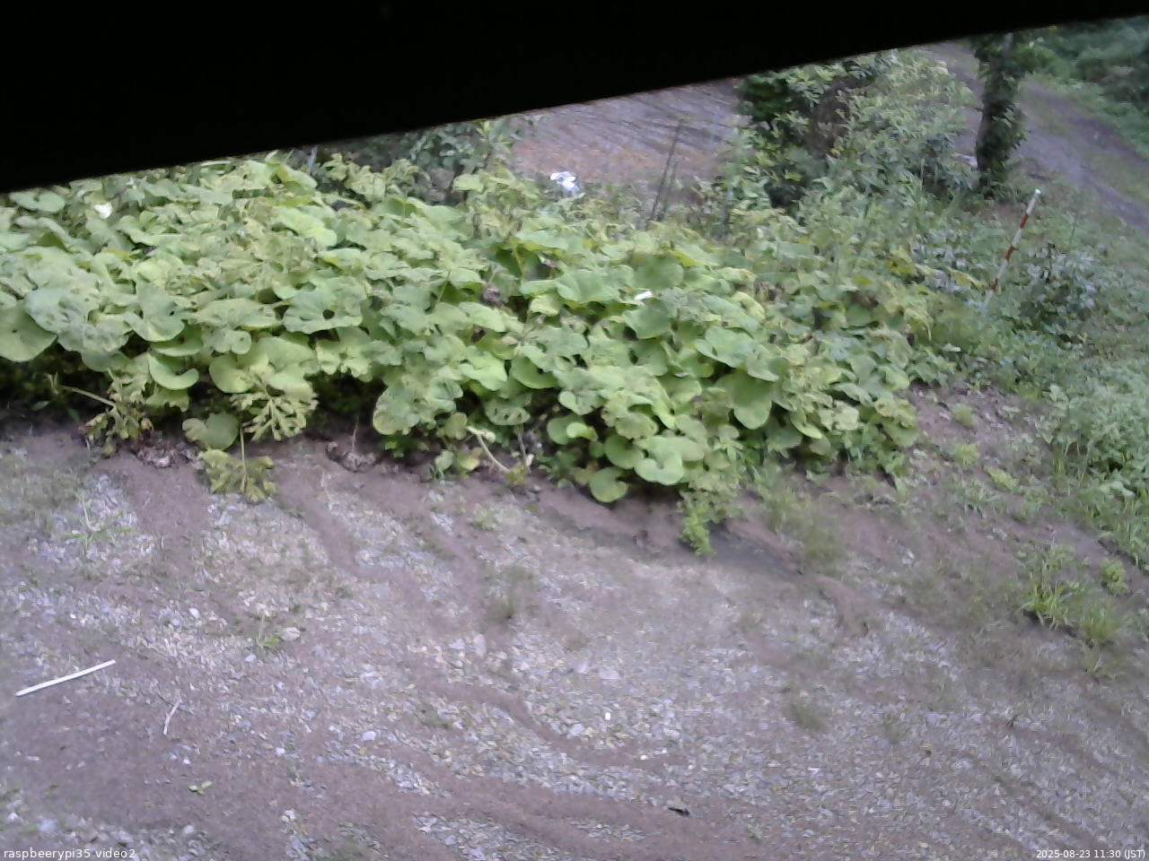 長野県菅平高原 ゆたか山荘 駐車場 2025/08/23 11:30