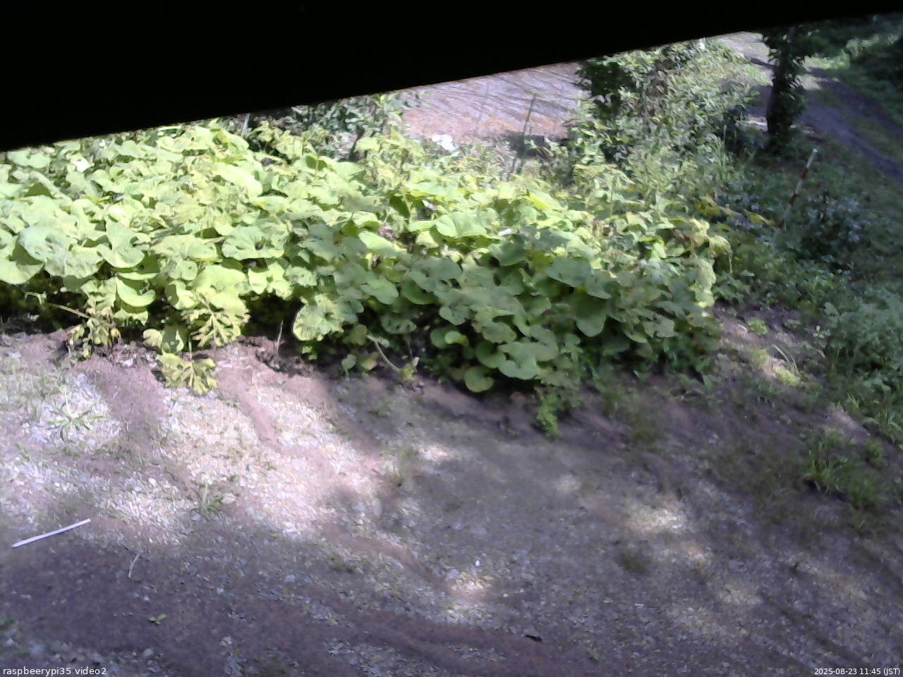 長野県菅平高原 ゆたか山荘 駐車場 2025/08/23 11:45