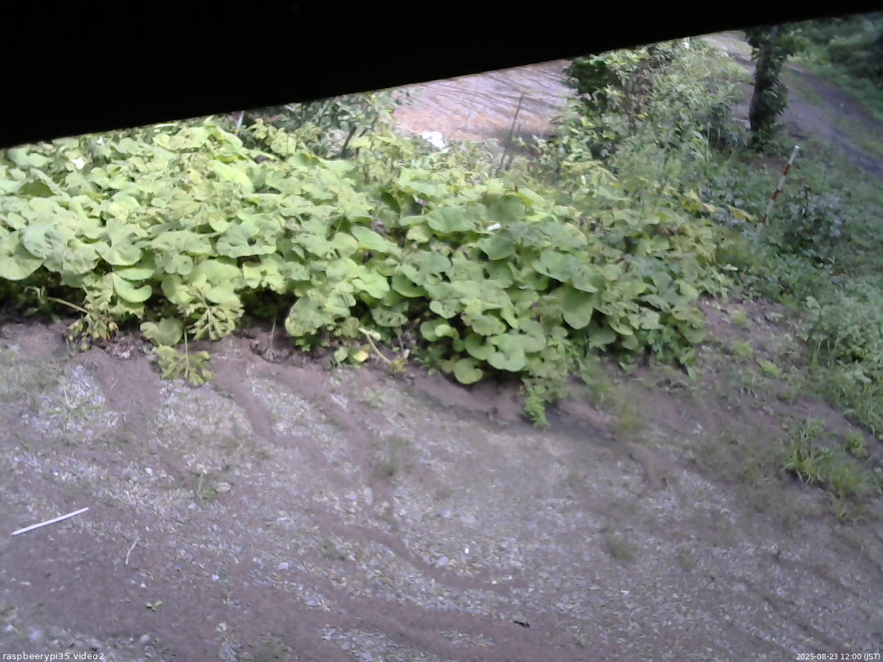 長野県菅平高原 ゆたか山荘 駐車場 2025/08/23 12:00