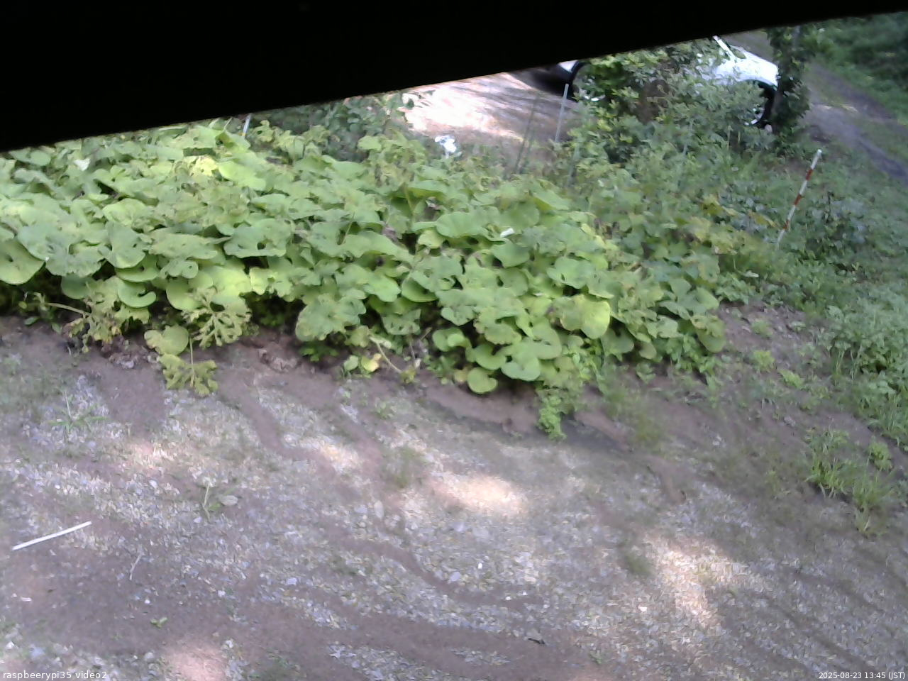 長野県菅平高原 ゆたか山荘 駐車場 2025/08/23 13:45