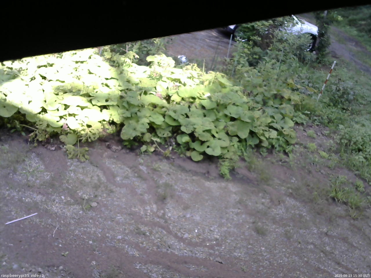長野県菅平高原 ゆたか山荘 駐車場 2025/08/23 15:30