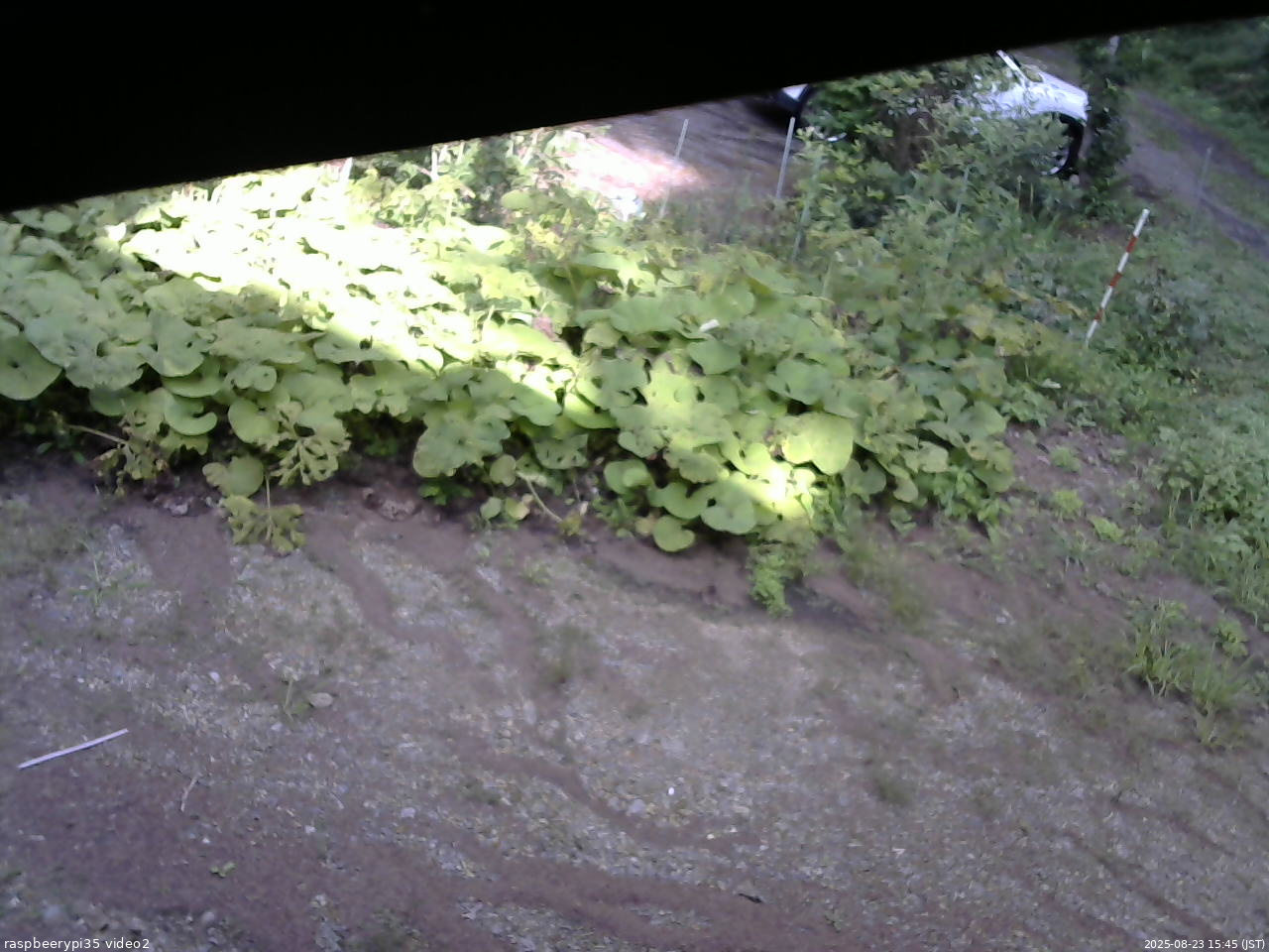 長野県菅平高原 ゆたか山荘 駐車場 2025/08/23 15:45