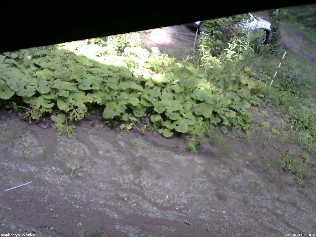 長野県菅平高原 ゆたか山荘 駐車場 2025/08/23 16:00