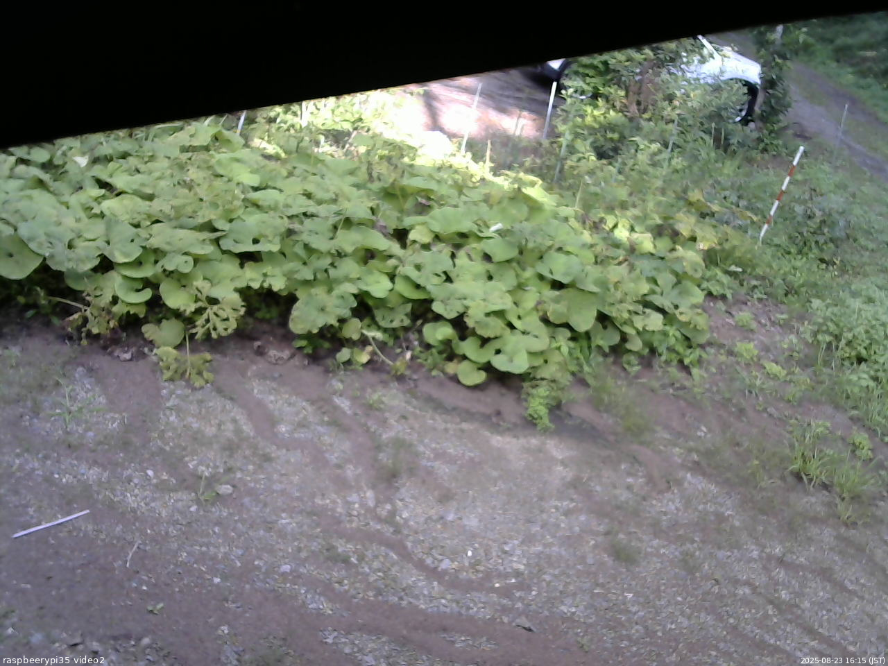 長野県菅平高原 ゆたか山荘 駐車場 2025/08/23 16:15