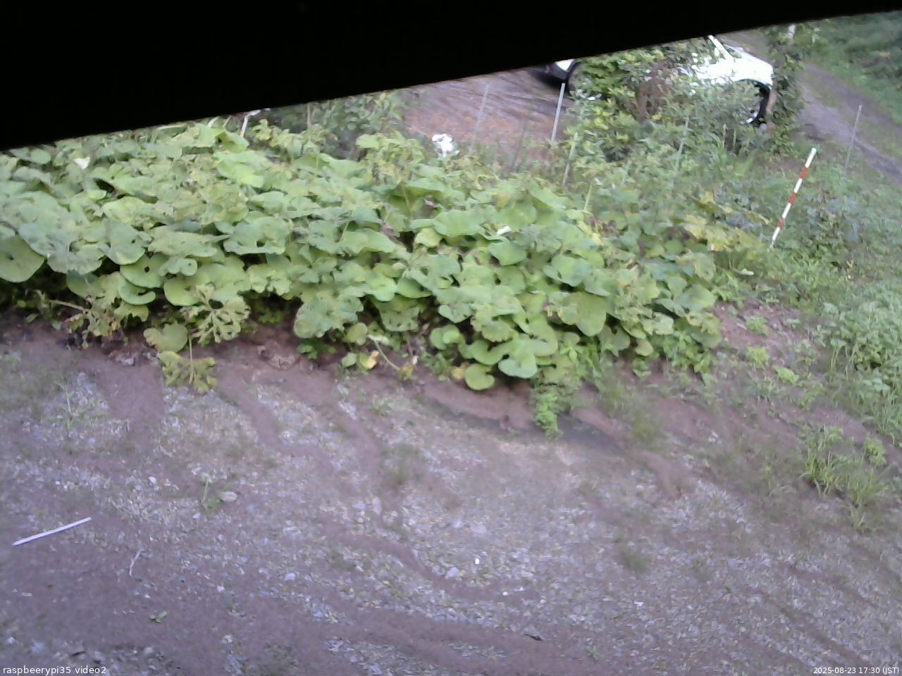 長野県菅平高原 ゆたか山荘 駐車場 2025/08/23 17:30