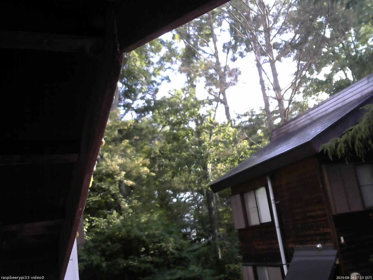 長野県菅平高原 ゆたか山荘 北側 2025/08/24 07:15