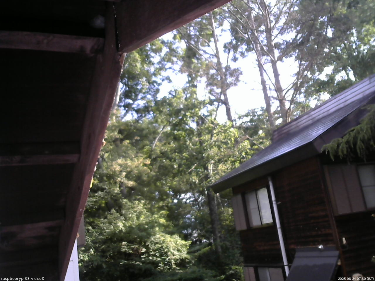 長野県菅平高原 ゆたか山荘 北側 2025/08/24 07:30