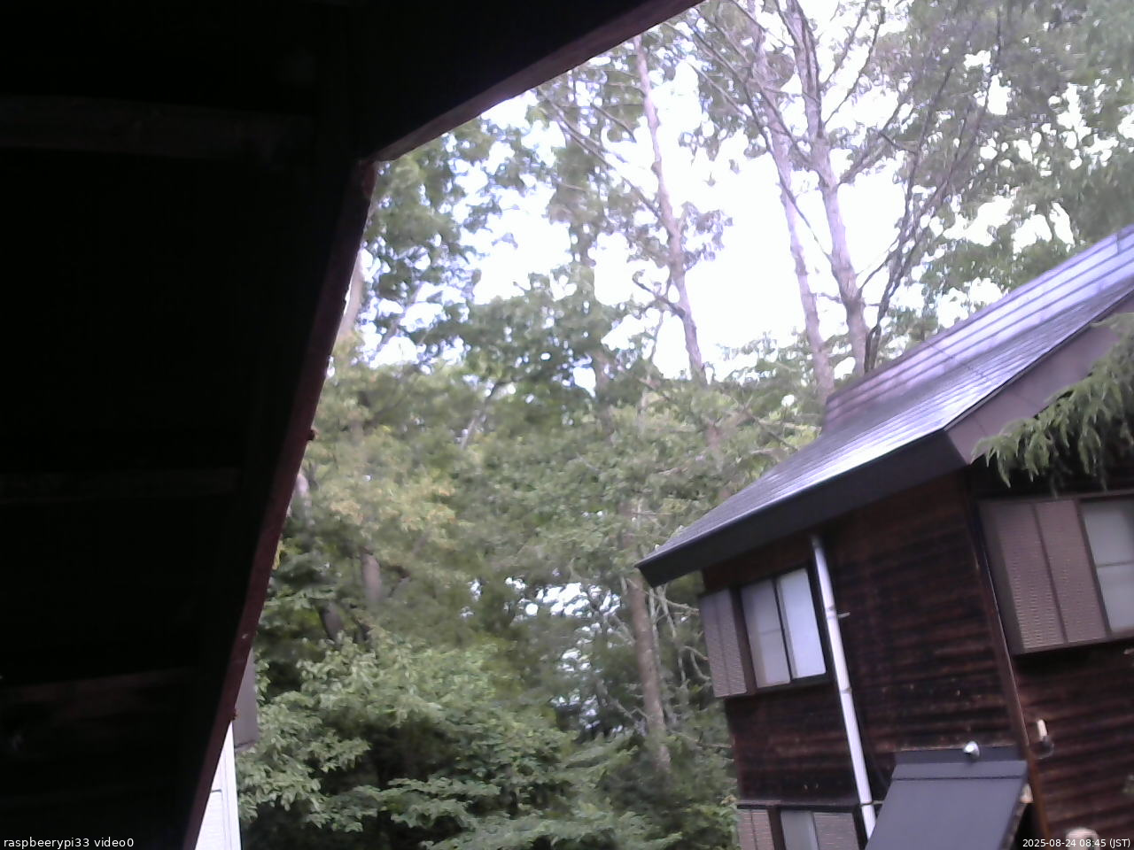 長野県菅平高原 ゆたか山荘 北側 2025/08/24 08:45