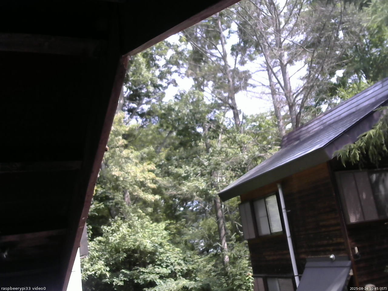 長野県菅平高原 ゆたか山荘 北側 2025/08/24 10:45