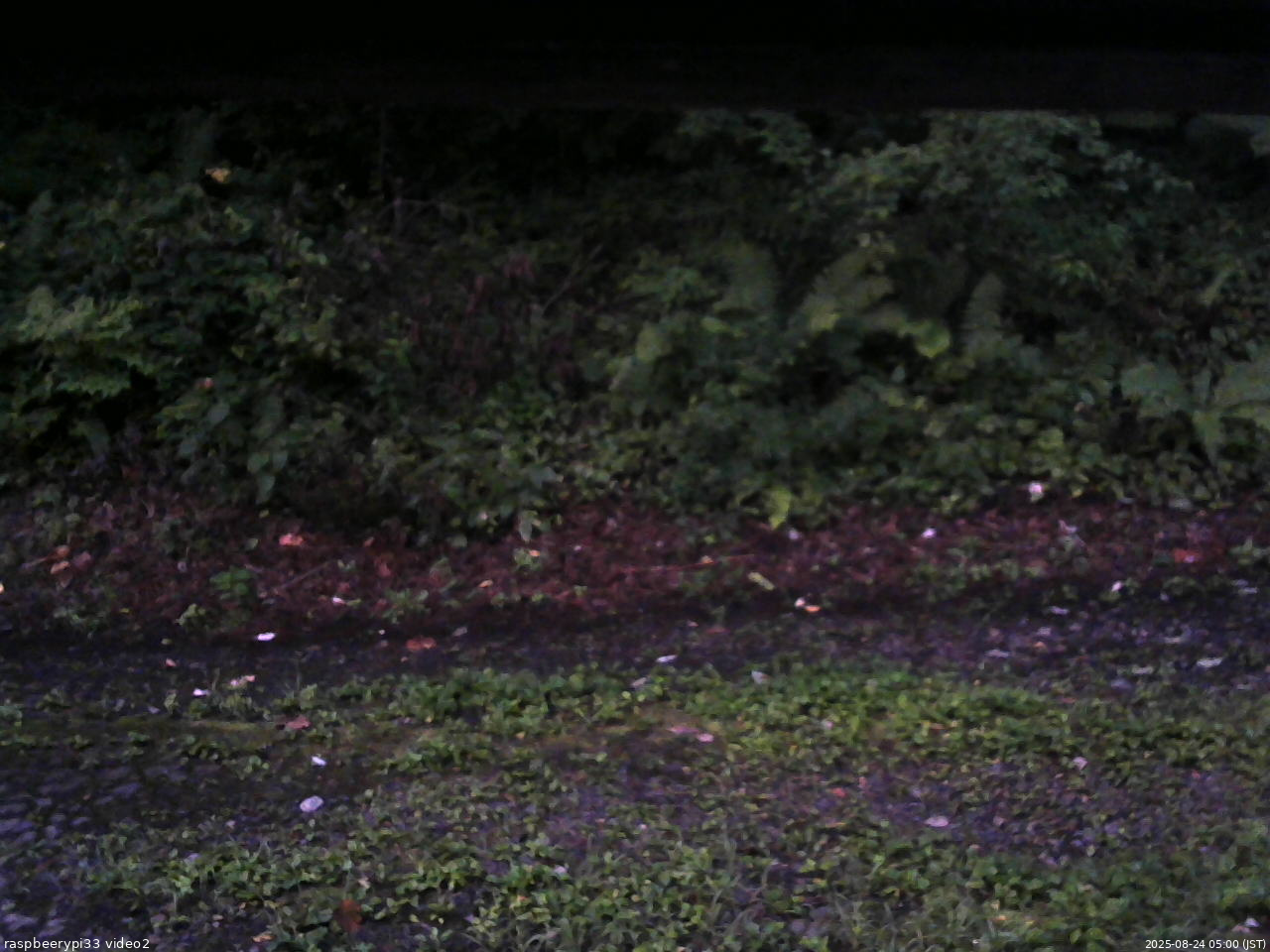長野県菅平高原 ゆたか山荘 南側 2025/08/24 05:00