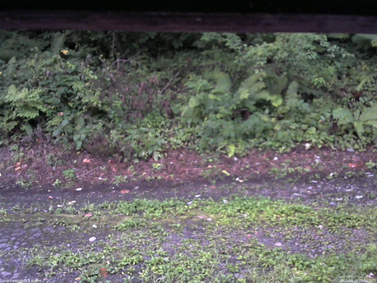 長野県菅平高原 ゆたか山荘 南側 2025/08/24 05:15