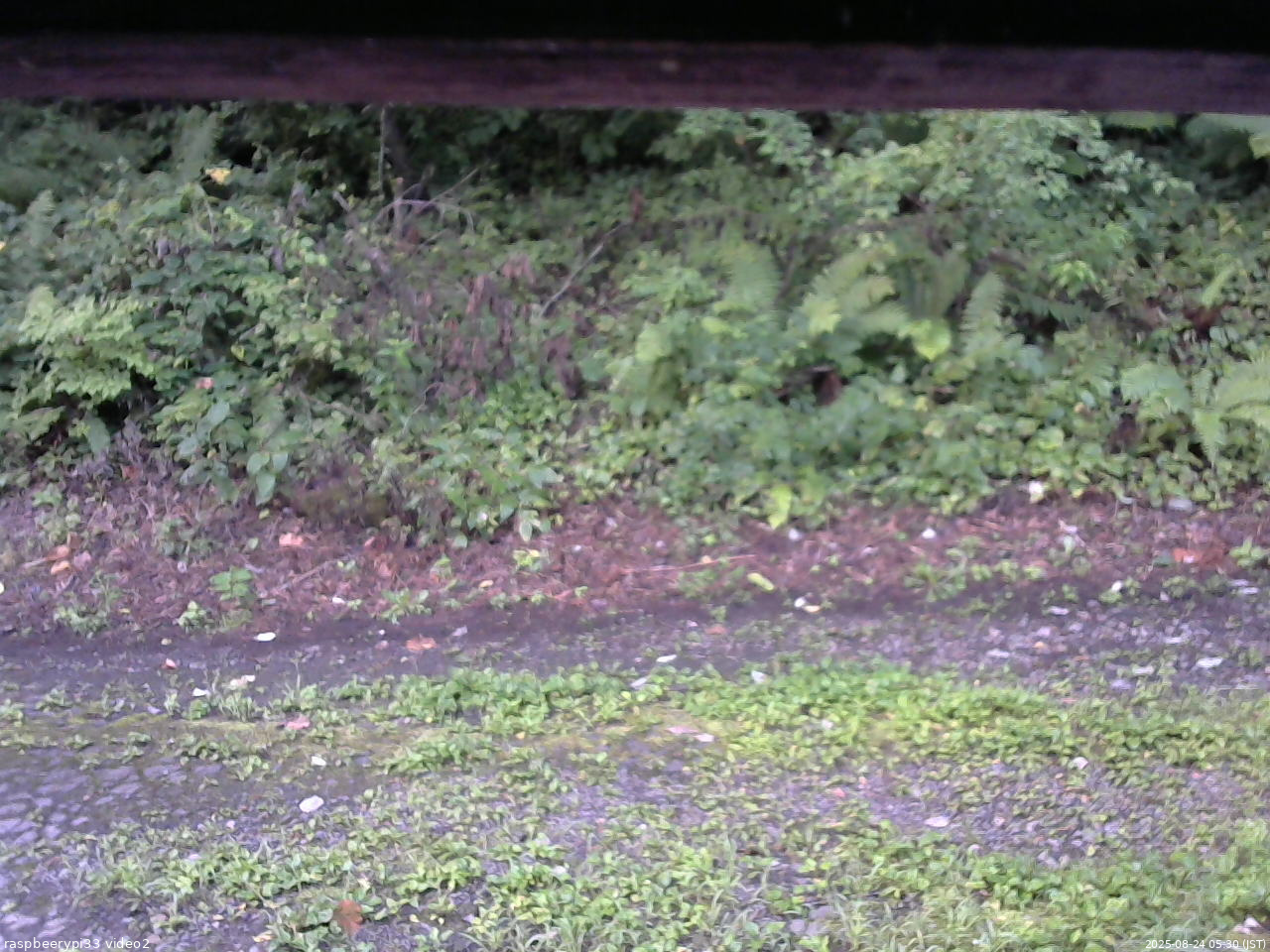 長野県菅平高原 ゆたか山荘 南側 2025/08/24 05:30