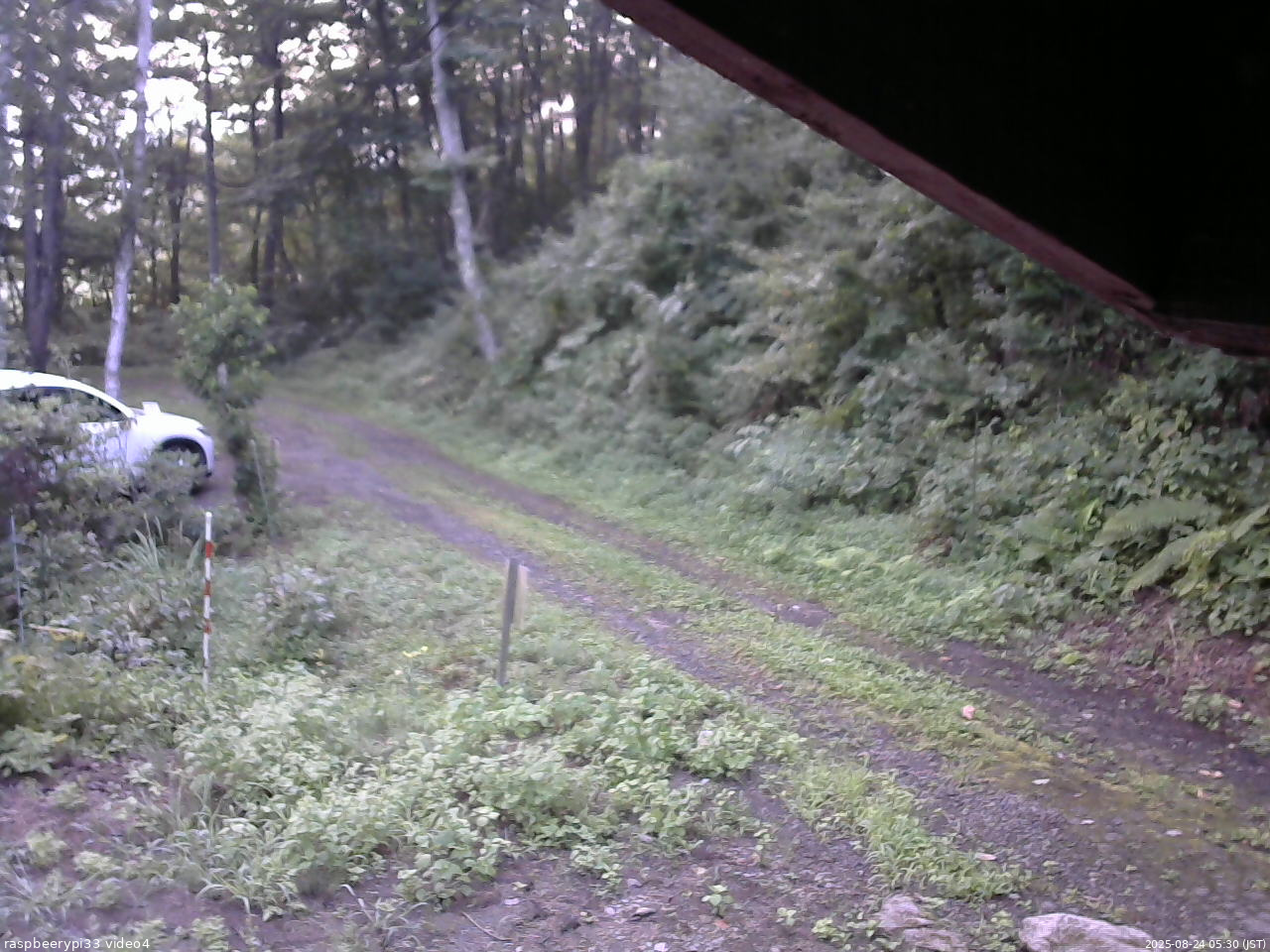 長野県菅平高原 ゆたか山荘 東側(坂下) 2025/08/24 05:30