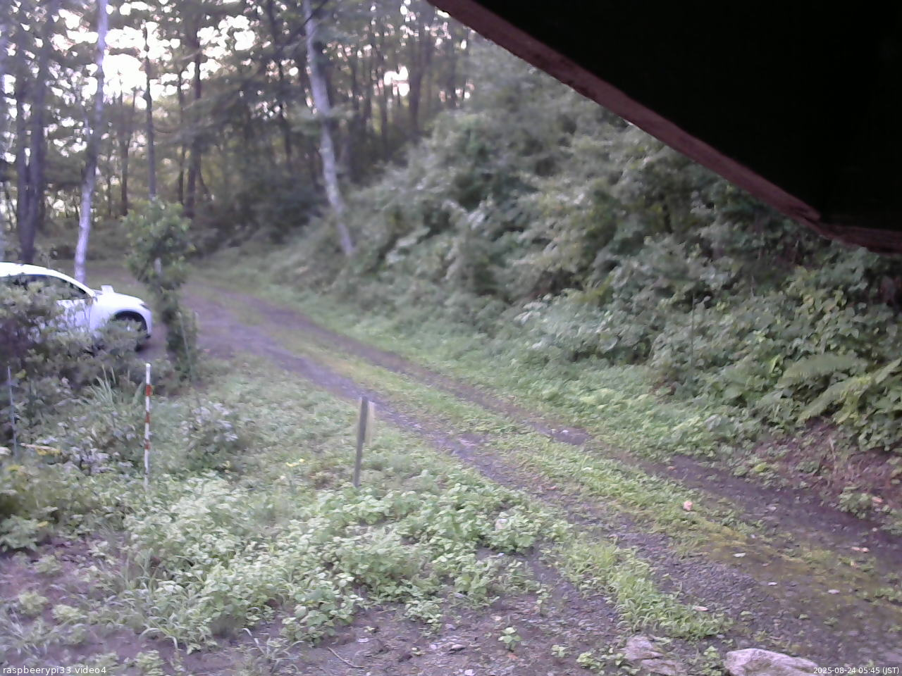 長野県菅平高原 ゆたか山荘 東側(坂下) 2025/08/24 05:45