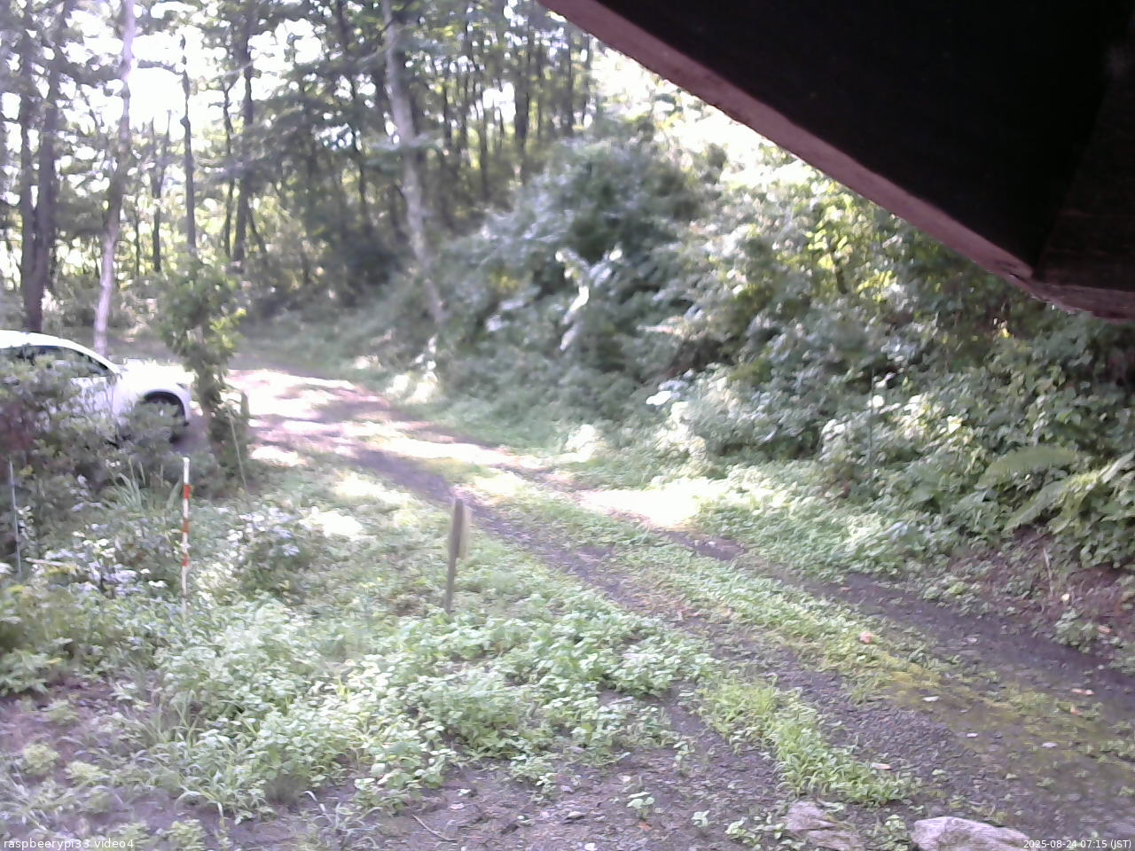 長野県菅平高原 ゆたか山荘 東側(坂下) 2025/08/24 07:15