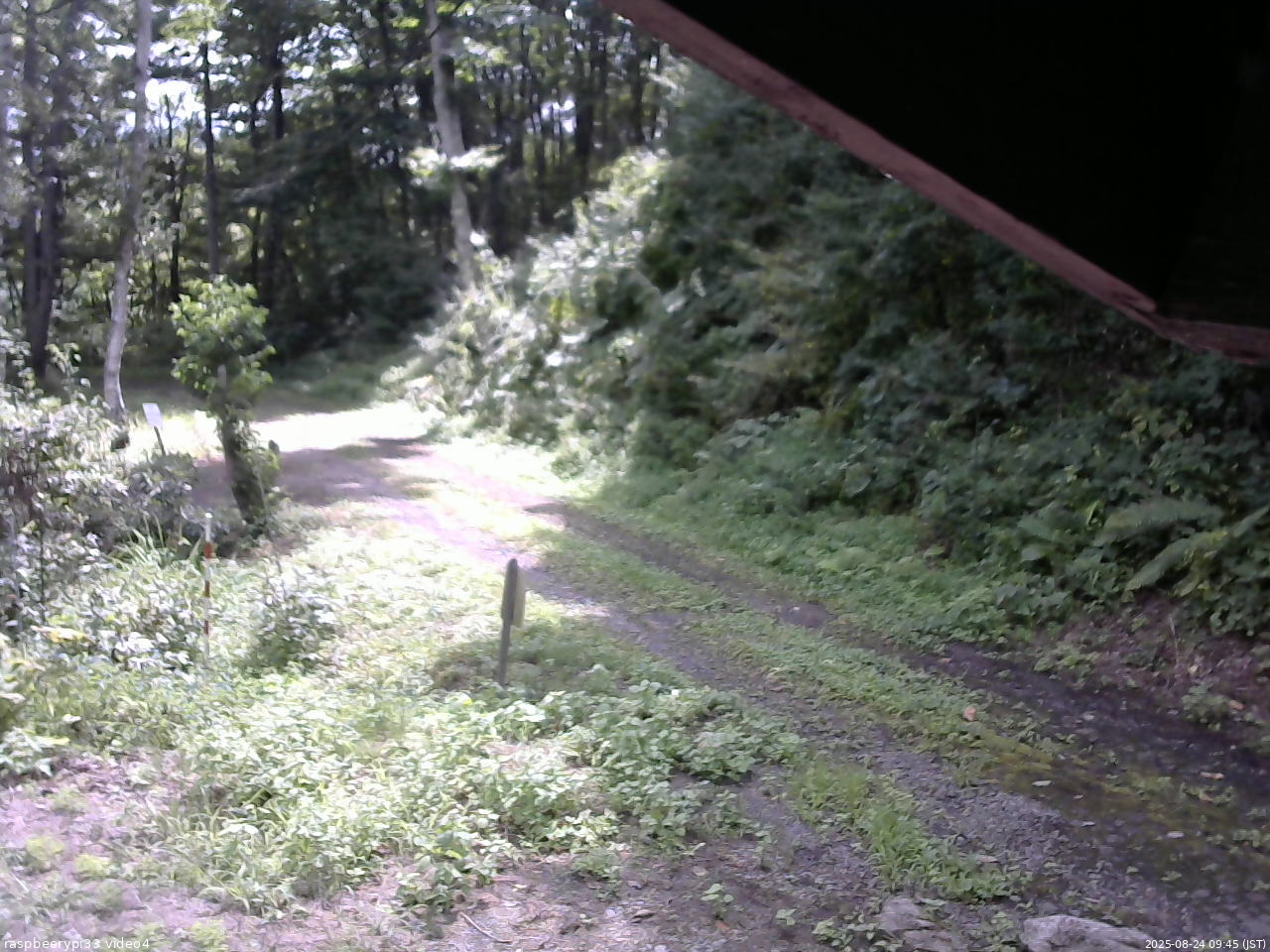 長野県菅平高原 ゆたか山荘 東側(坂下) 2025/08/24 09:45