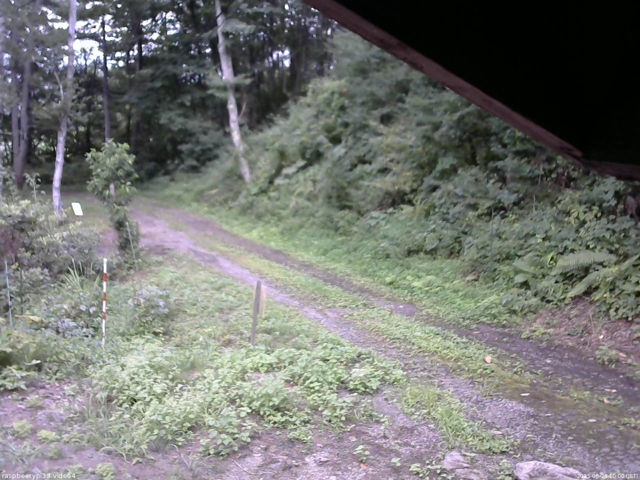 長野県菅平高原 ゆたか山荘 東側(坂下) 2025/08/24 10:00