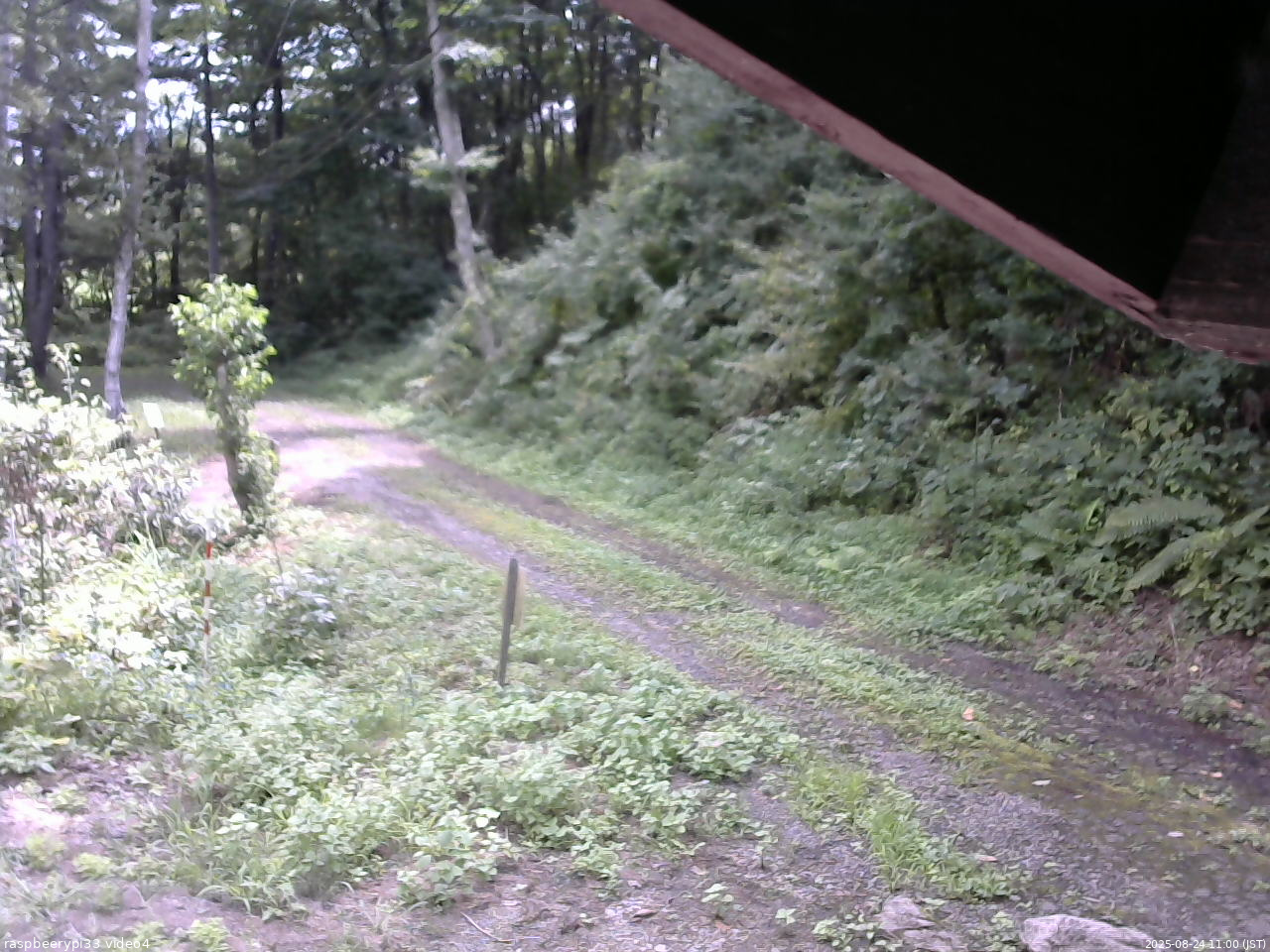 長野県菅平高原 ゆたか山荘 東側(坂下) 2025/08/24 11:00