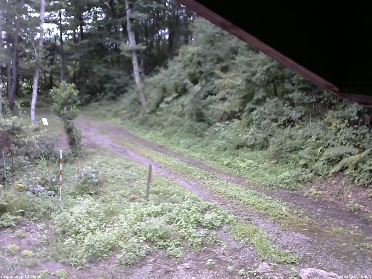 長野県菅平高原 ゆたか山荘 東側(坂下) 2025/08/24 11:45