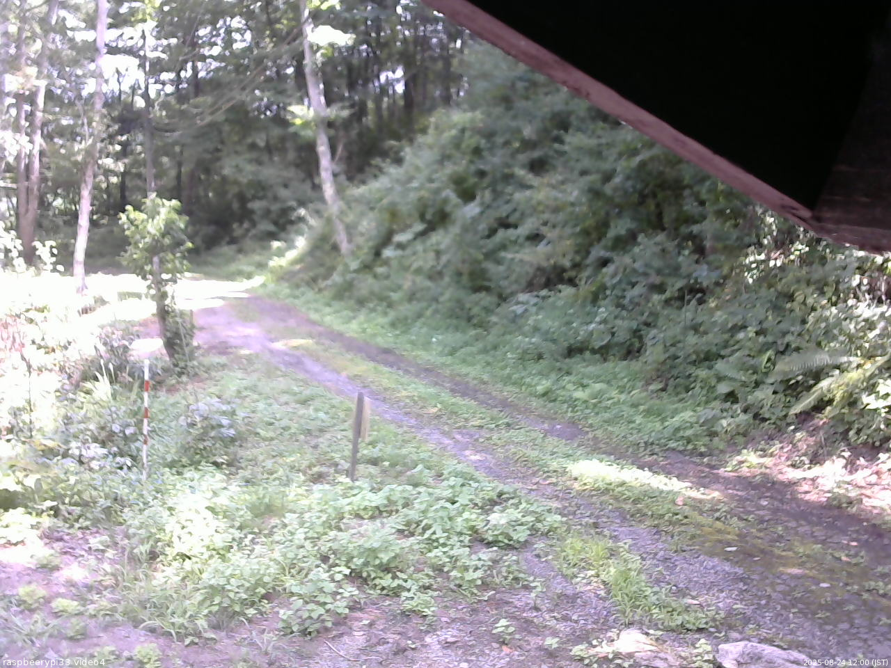 長野県菅平高原 ゆたか山荘 東側(坂下) 2025/08/24 12:00