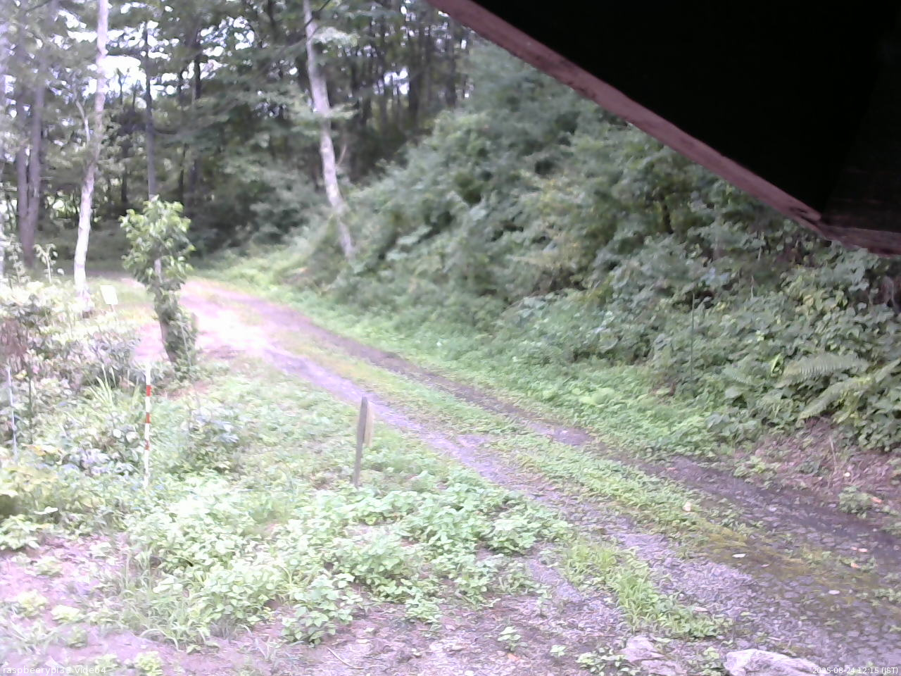 長野県菅平高原 ゆたか山荘 東側(坂下) 2025/08/24 12:15