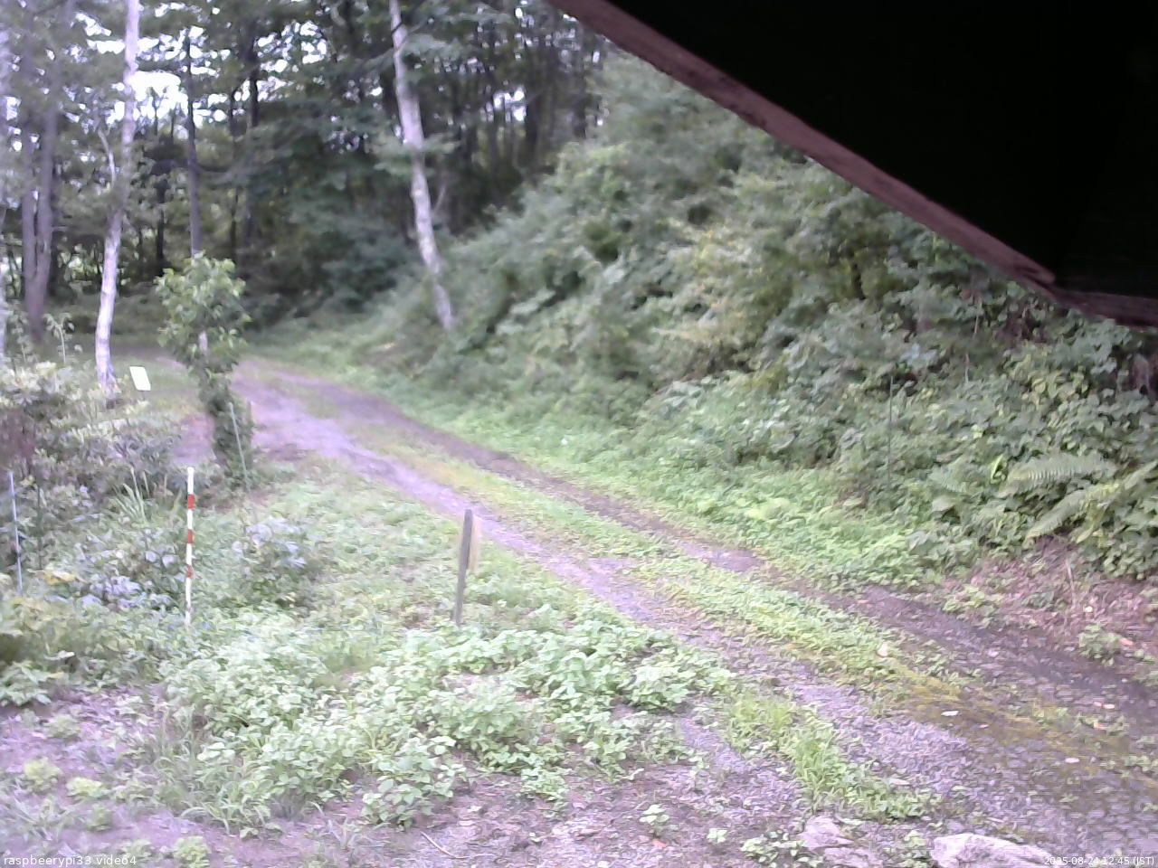長野県菅平高原 ゆたか山荘 東側(坂下) 2025/08/24 12:45