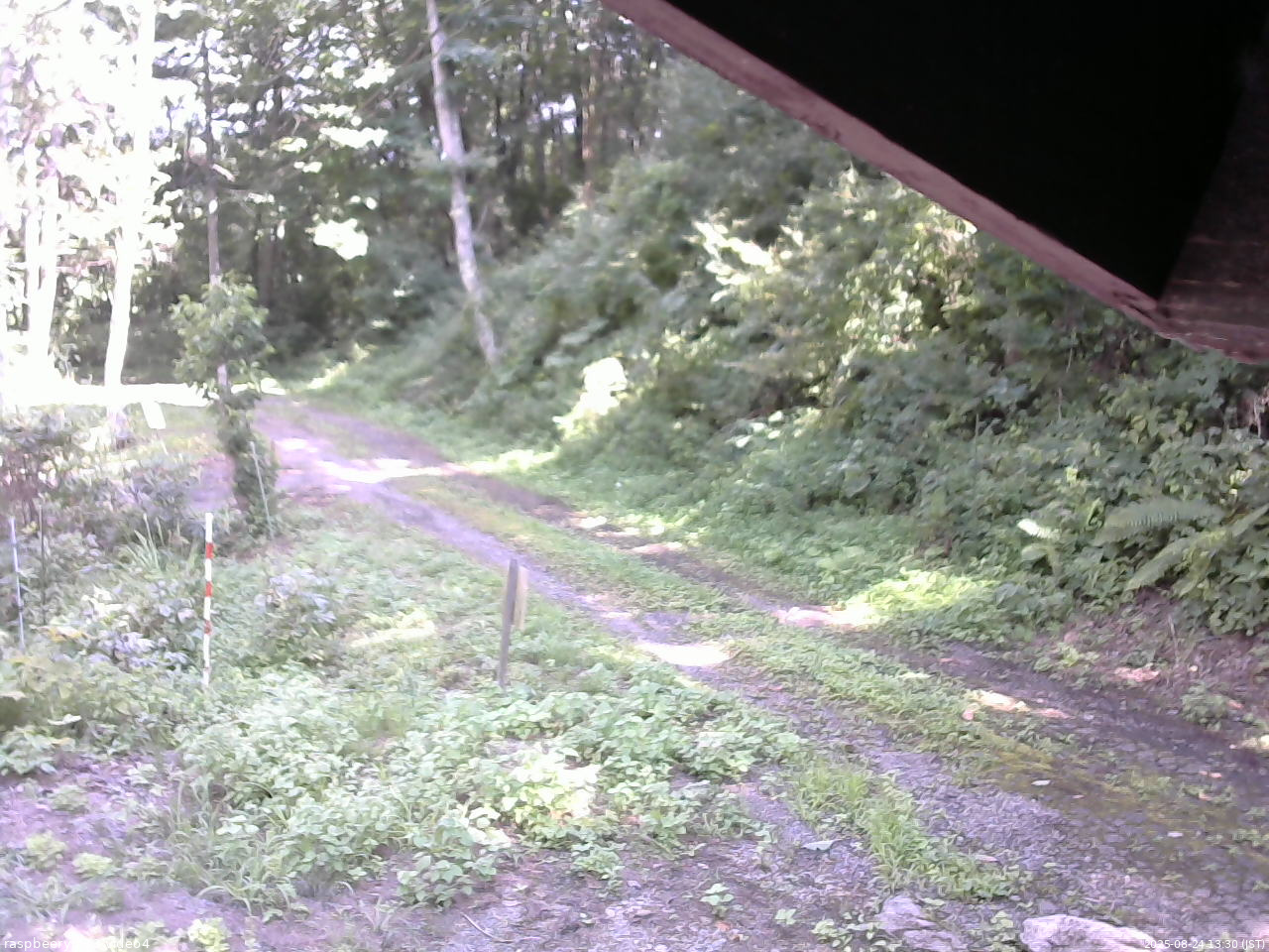 長野県菅平高原 ゆたか山荘 東側(坂下) 2025/08/24 13:30