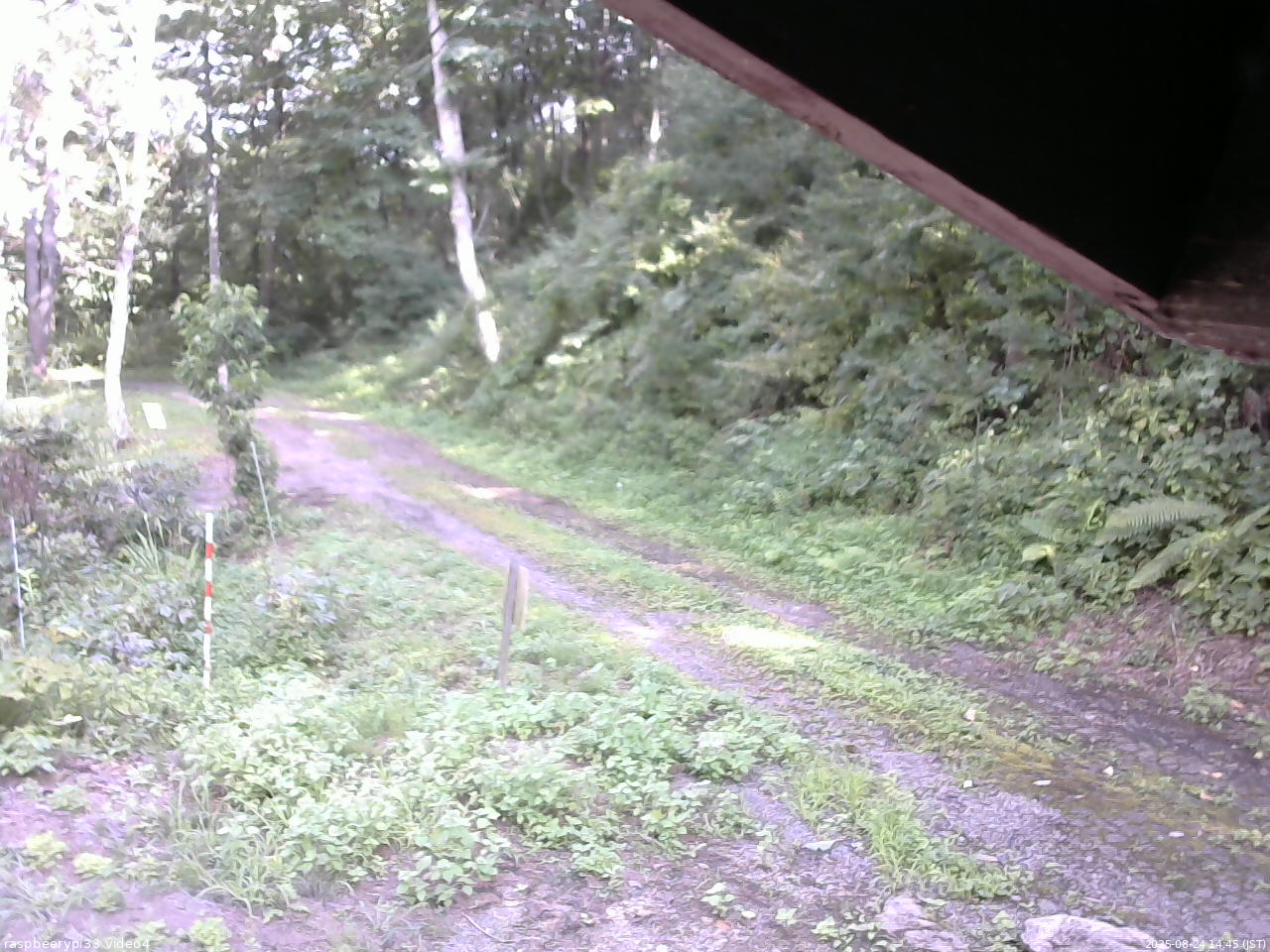 長野県菅平高原 ゆたか山荘 東側(坂下) 2025/08/24 14:45