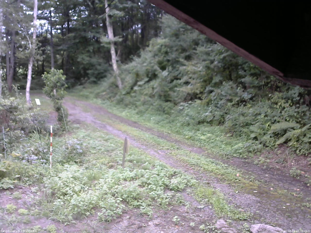 長野県菅平高原 ゆたか山荘 東側(坂下) 2025/08/24 15:30