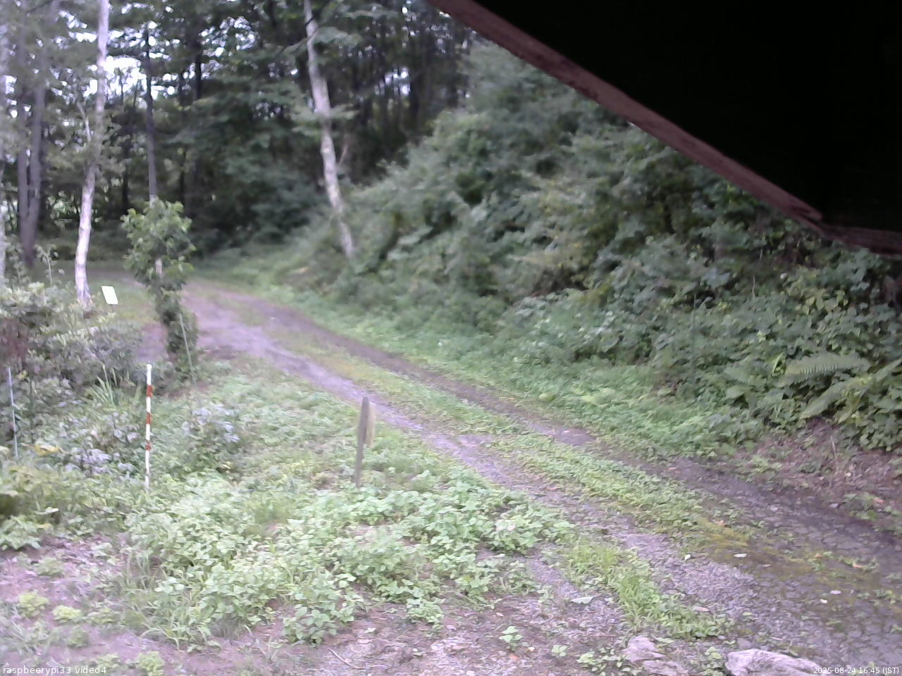 長野県菅平高原 ゆたか山荘 東側(坂下) 2025/08/24 16:45