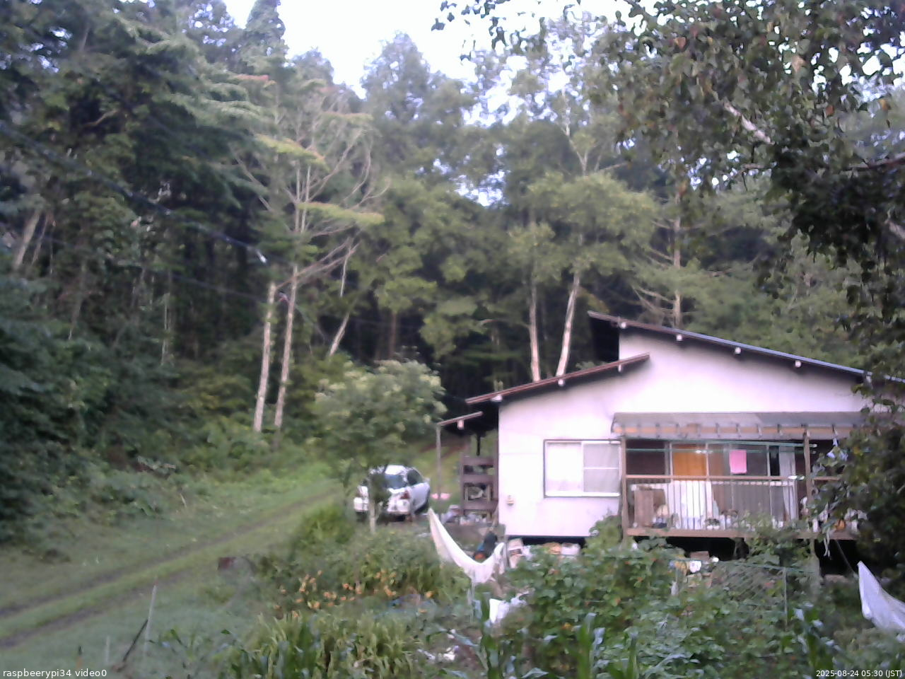 長野県菅平高原 ゆたか山荘 西側(坂上) 2025/08/24 05:30