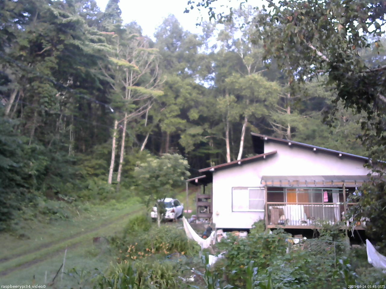 長野県菅平高原 ゆたか山荘 西側(坂上) 2025/08/24 05:45