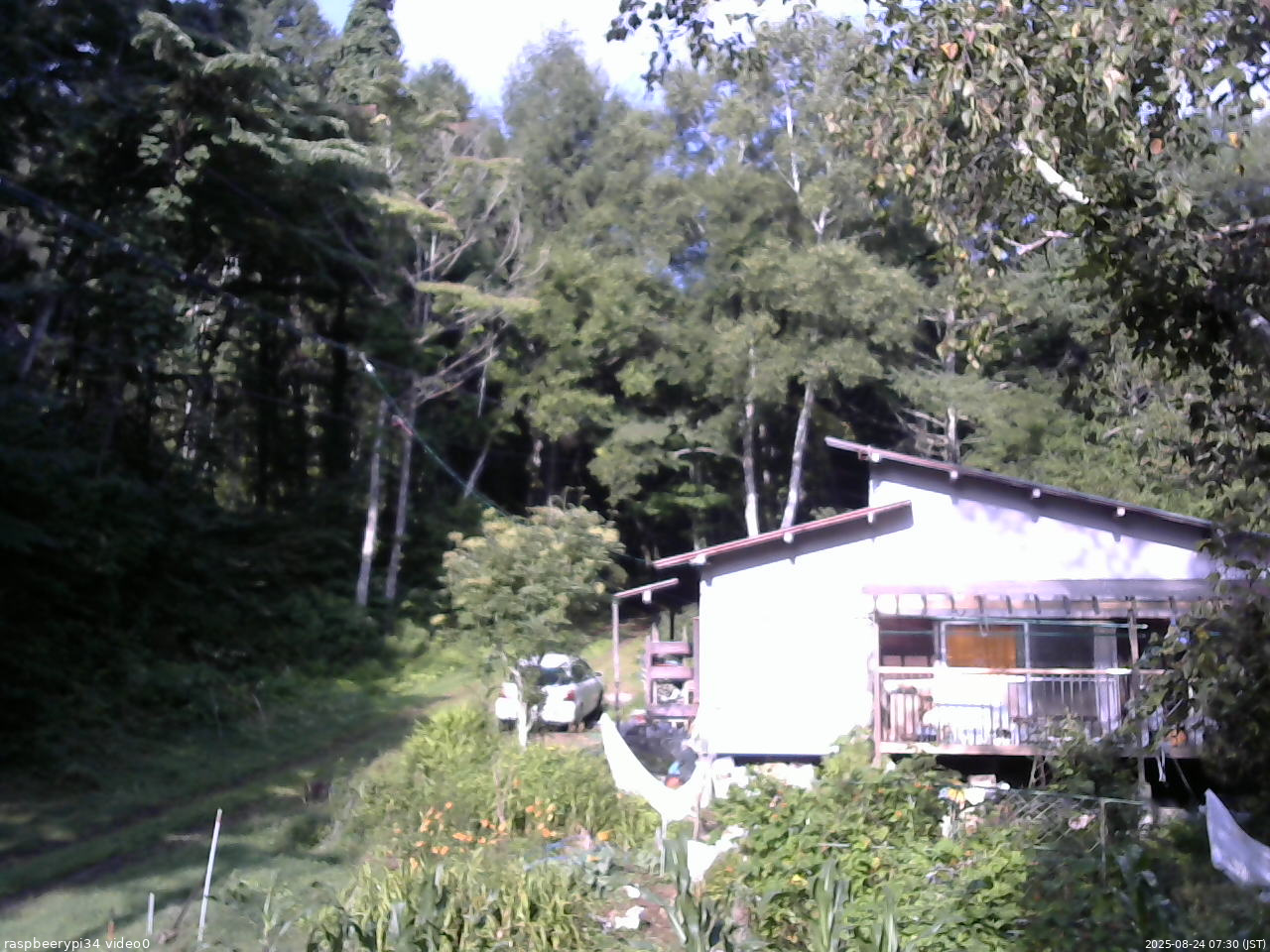 長野県菅平高原 ゆたか山荘 西側(坂上) 2025/08/24 07:30