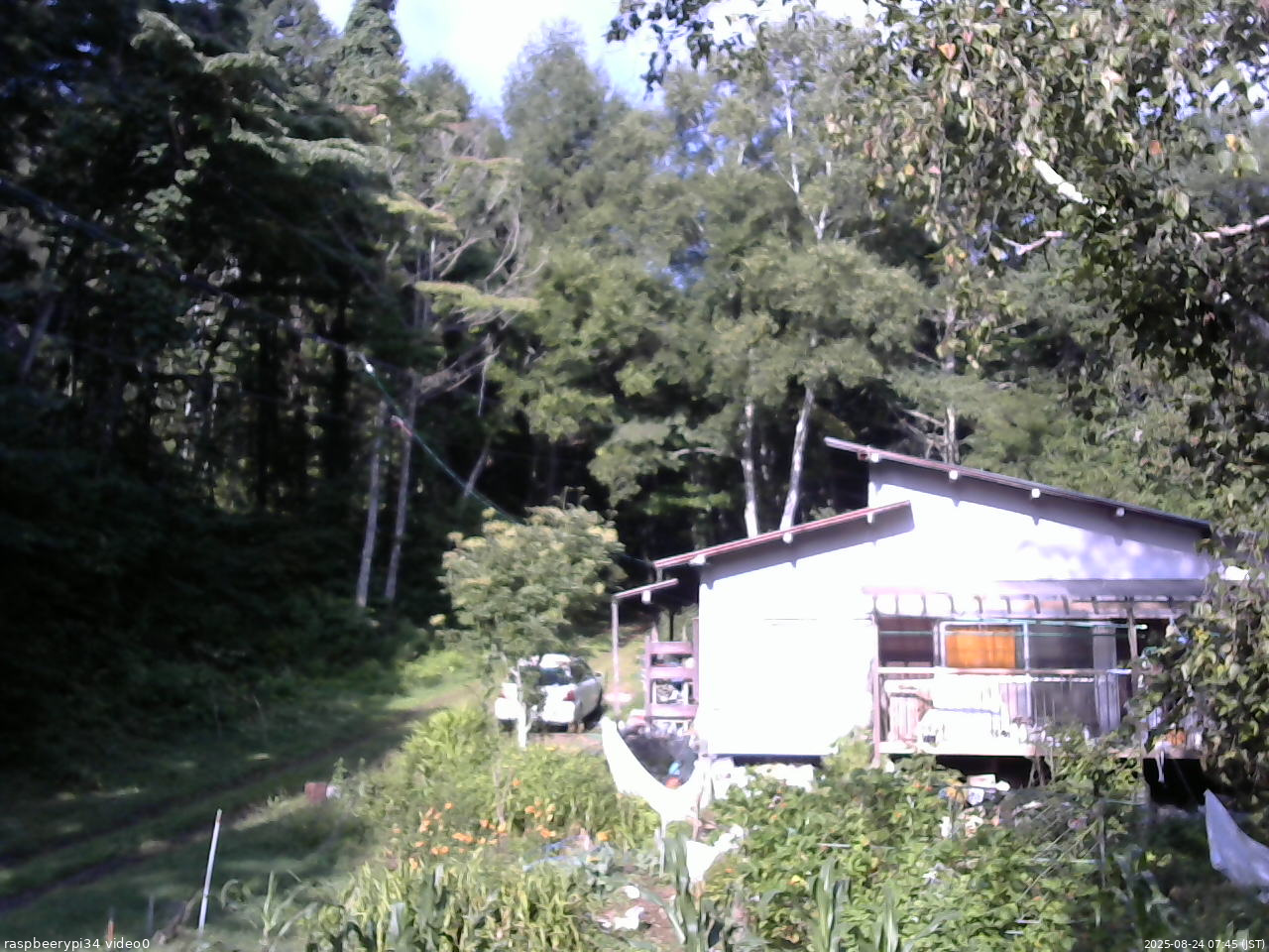 長野県菅平高原 ゆたか山荘 西側(坂上) 2025/08/24 07:45