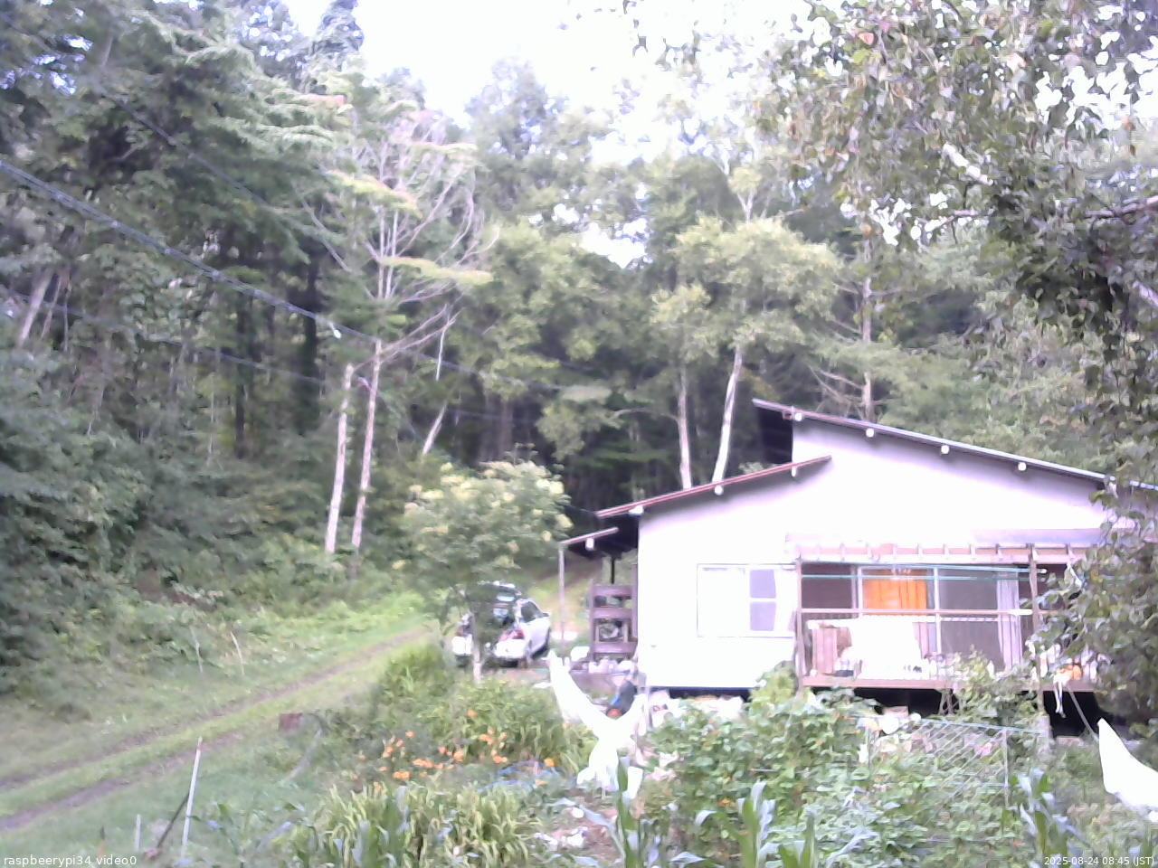 長野県菅平高原 ゆたか山荘 西側(坂上) 2025/08/24 08:45