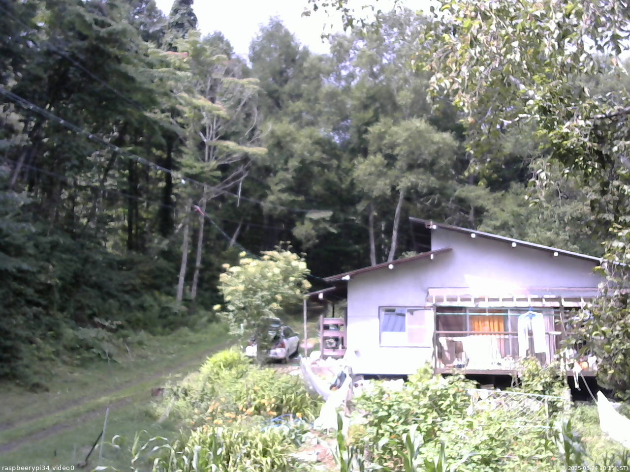 長野県菅平高原 ゆたか山荘 西側(坂上) 2025/08/24 10:15