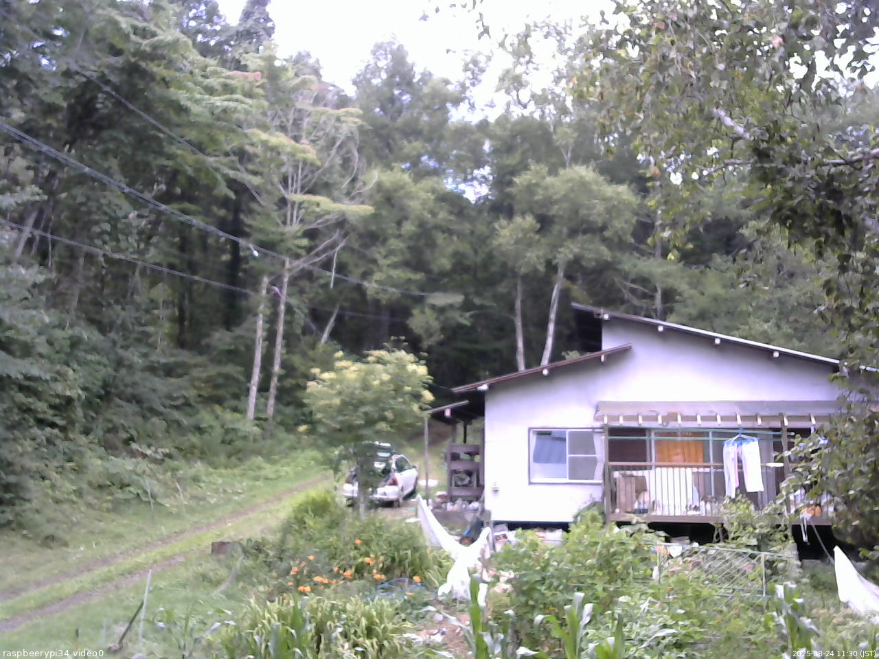 長野県菅平高原 ゆたか山荘 西側(坂上) 2025/08/24 11:30