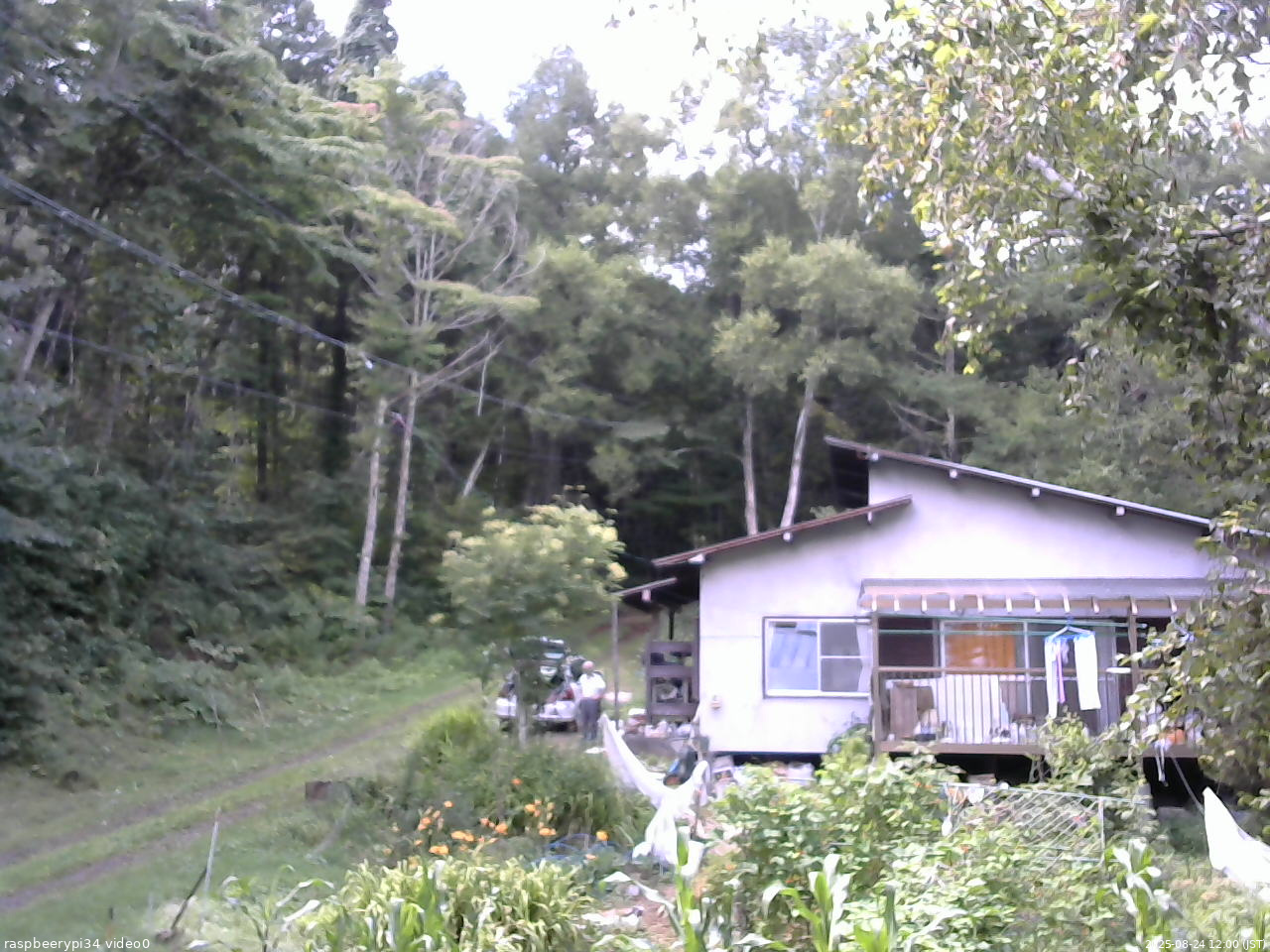 長野県菅平高原 ゆたか山荘 西側(坂上) 2025/08/24 12:00