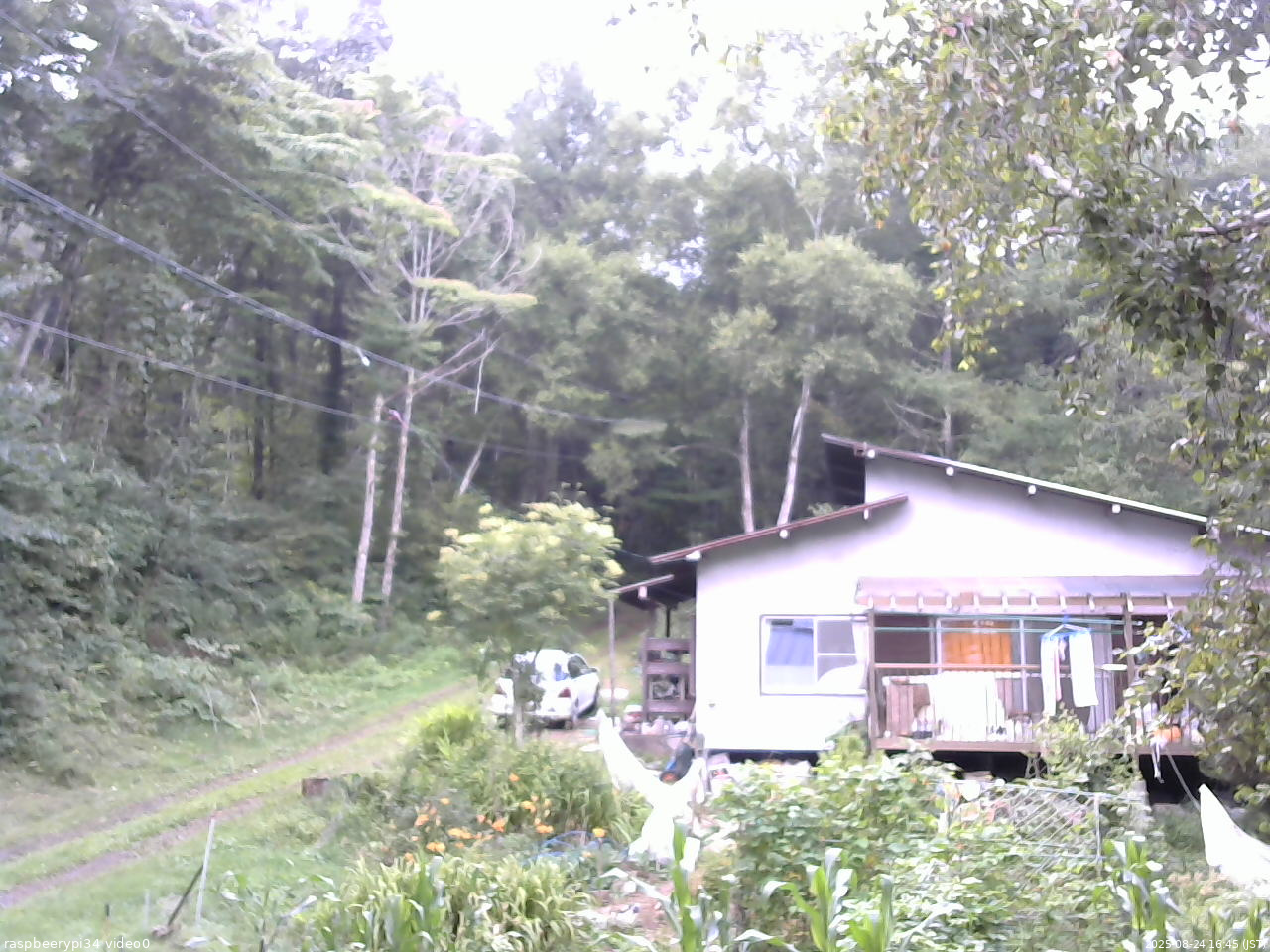 長野県菅平高原 ゆたか山荘 西側(坂上) 2025/08/24 16:45