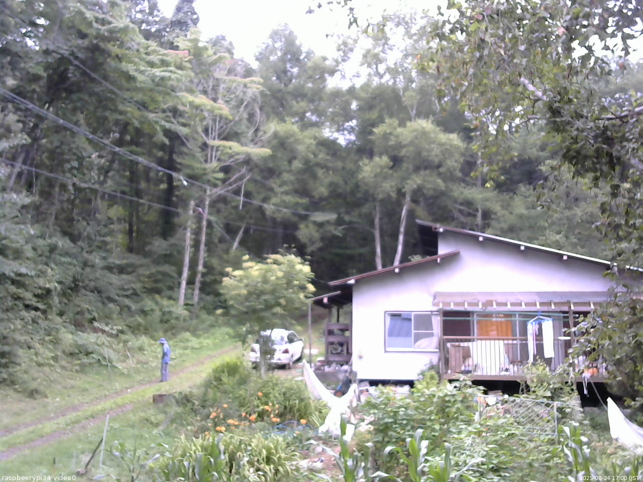 長野県菅平高原 ゆたか山荘 西側(坂上) 2025/08/24 17:00