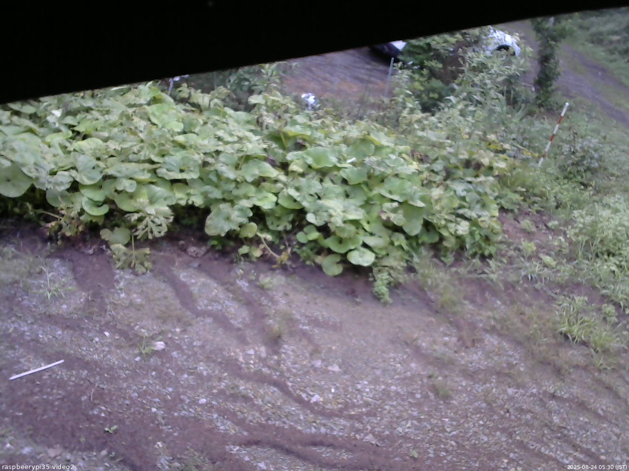 長野県菅平高原 ゆたか山荘 駐車場 2025/08/24 05:30