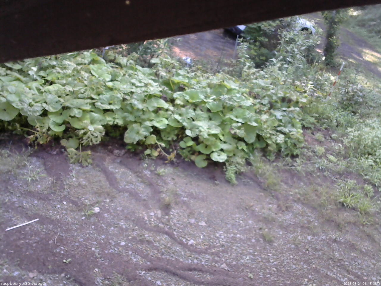 長野県菅平高原 ゆたか山荘 駐車場 2025/08/24 06:45