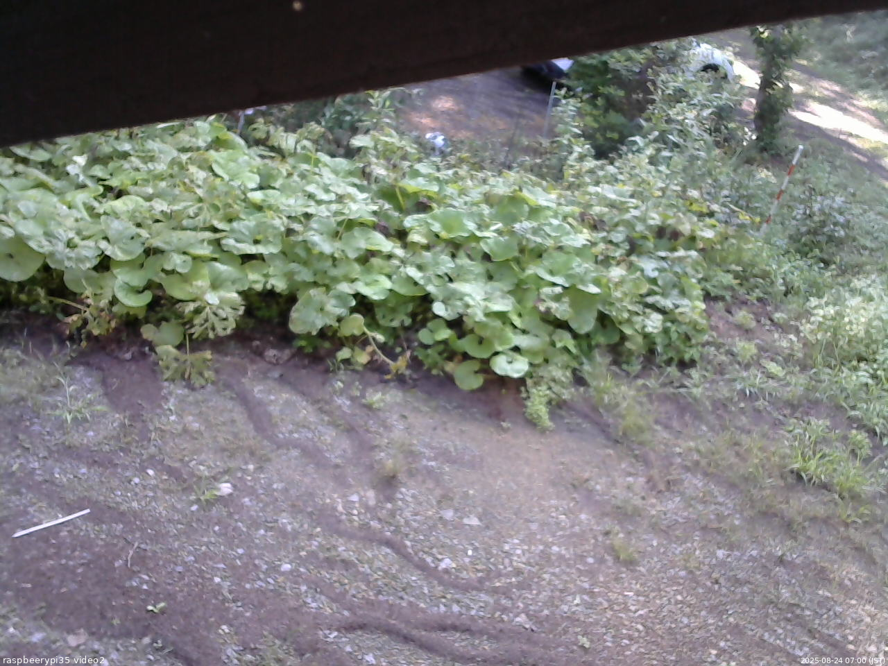 長野県菅平高原 ゆたか山荘 駐車場 2025/08/24 07:00
