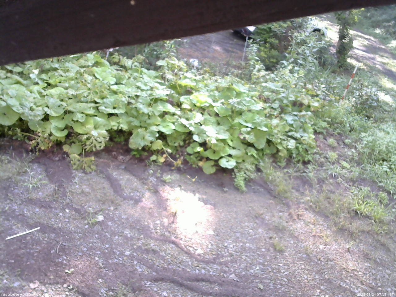 長野県菅平高原 ゆたか山荘 駐車場 2025/08/24 07:15