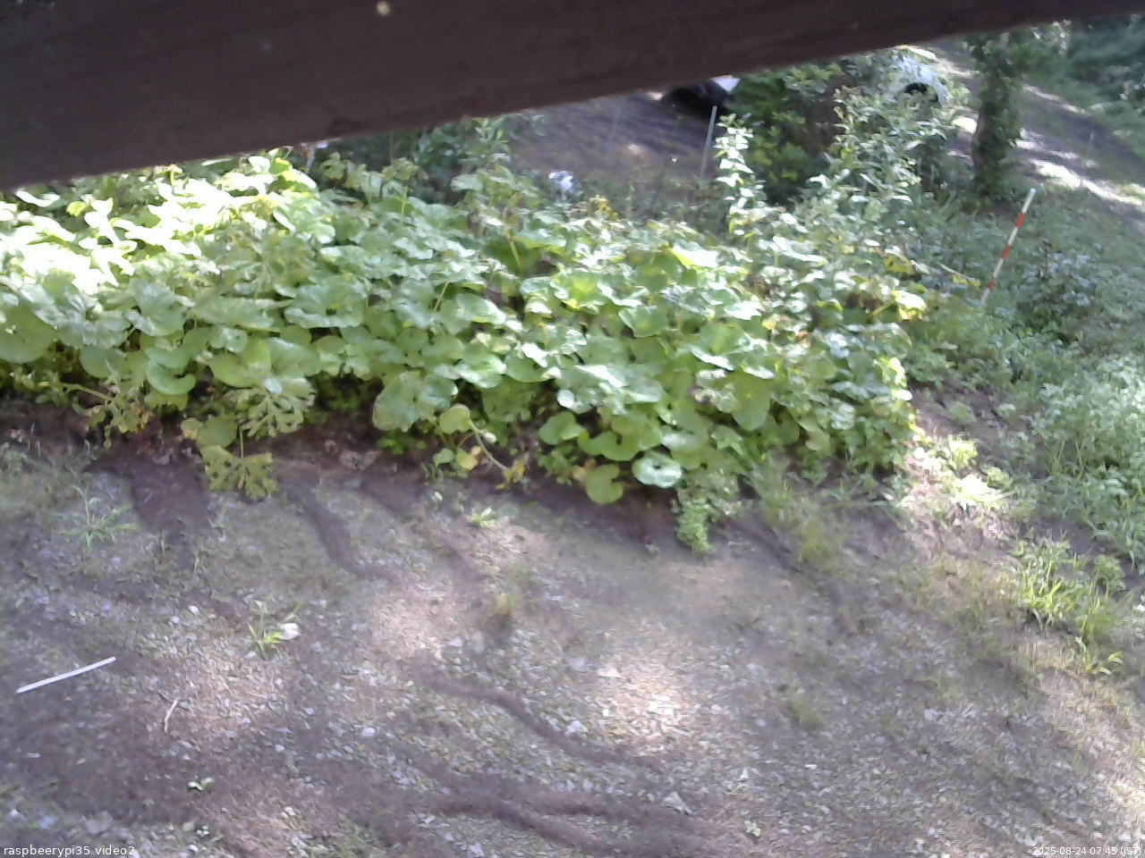 長野県菅平高原 ゆたか山荘 駐車場 2025/08/24 07:45