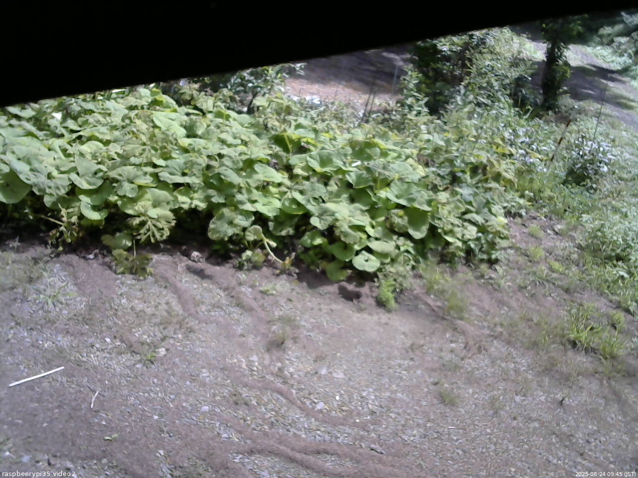 長野県菅平高原 ゆたか山荘 駐車場 2025/08/24 09:45
