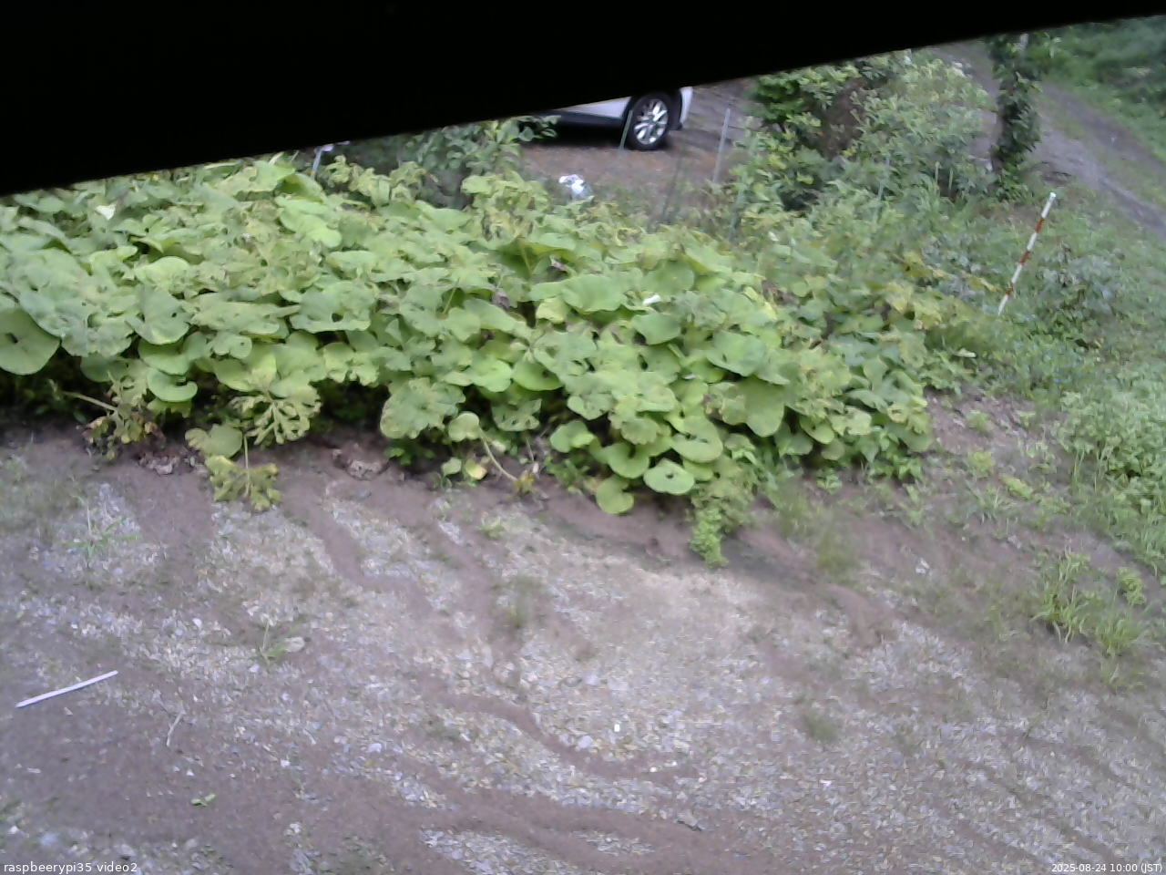 長野県菅平高原 ゆたか山荘 駐車場 2025/08/24 10:00