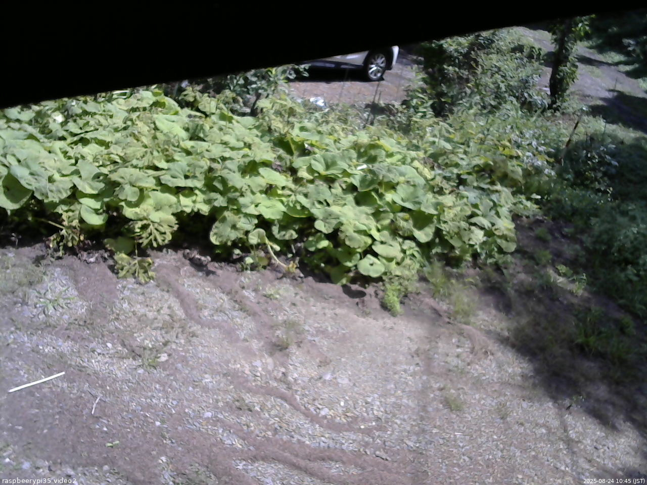 長野県菅平高原 ゆたか山荘 駐車場 2025/08/24 10:45