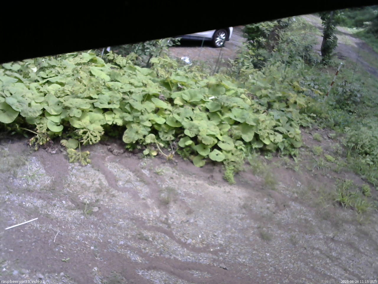 長野県菅平高原 ゆたか山荘 駐車場 2025/08/24 11:15