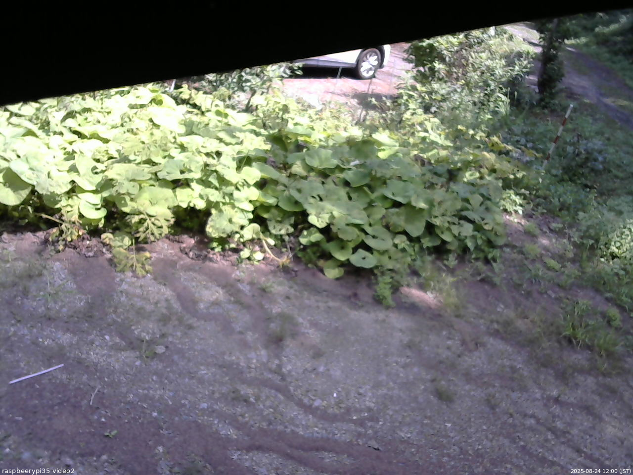 長野県菅平高原 ゆたか山荘 駐車場 2025/08/24 12:00
